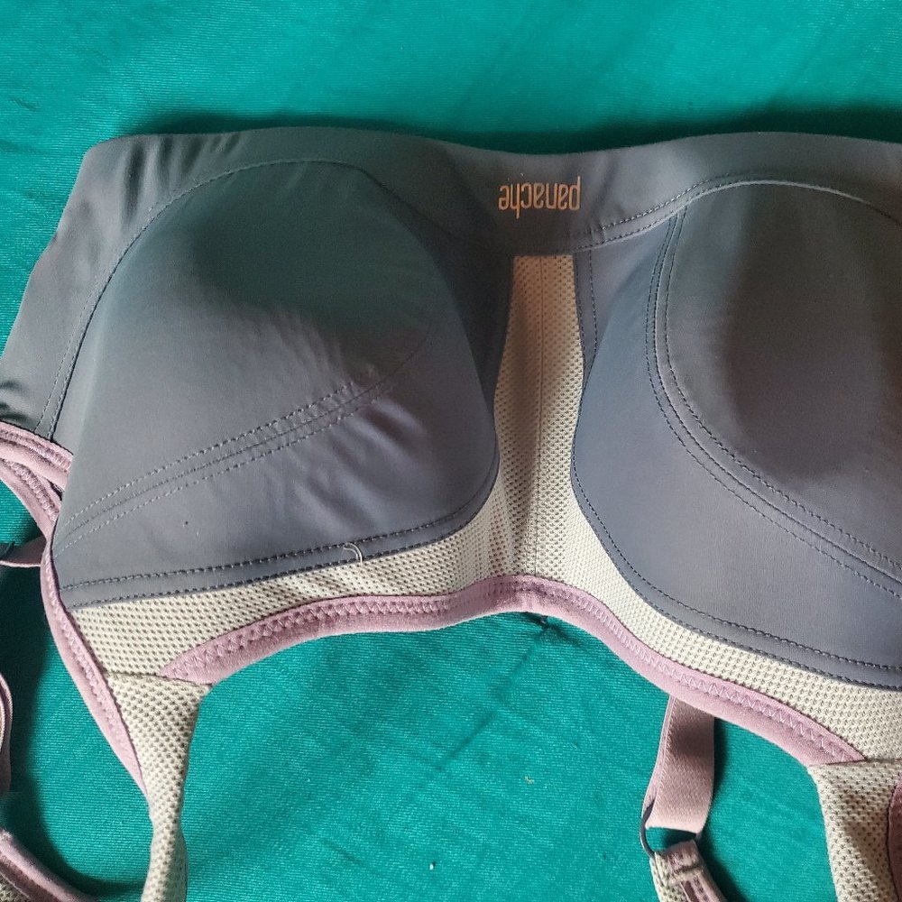 Panache Sport bra size 30E